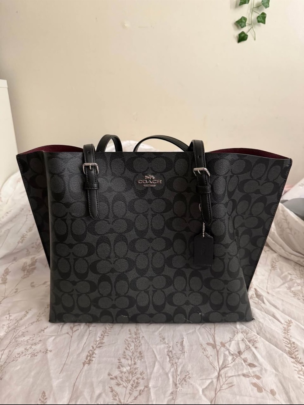 Coach Mollie Signature Tote Bag
